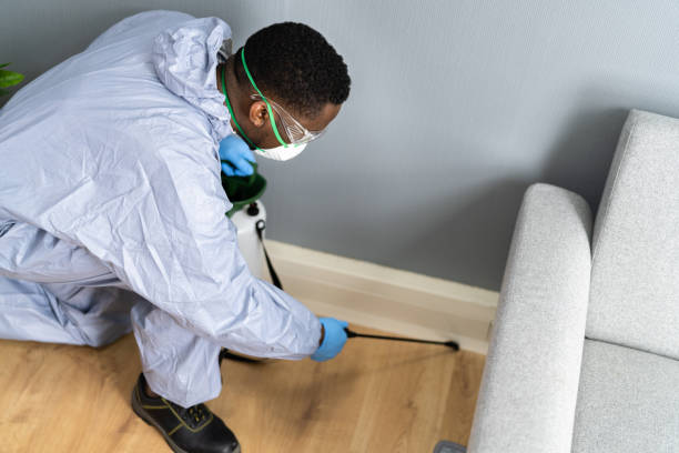 Best Residential Pest Control  in Sparks, TX